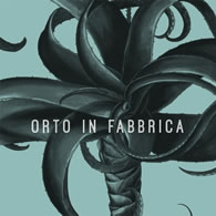 Anteprima