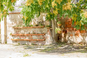 Anteprima